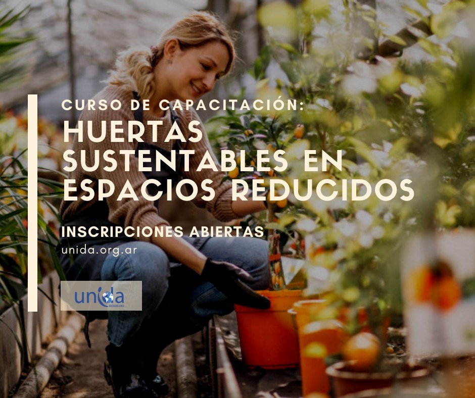 huertas sustentables en espacios reducidos